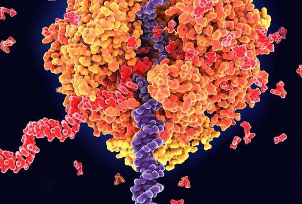 Le rle des vaccins et des anticorps monoclonaux dans l'immunisation -  Sanofi