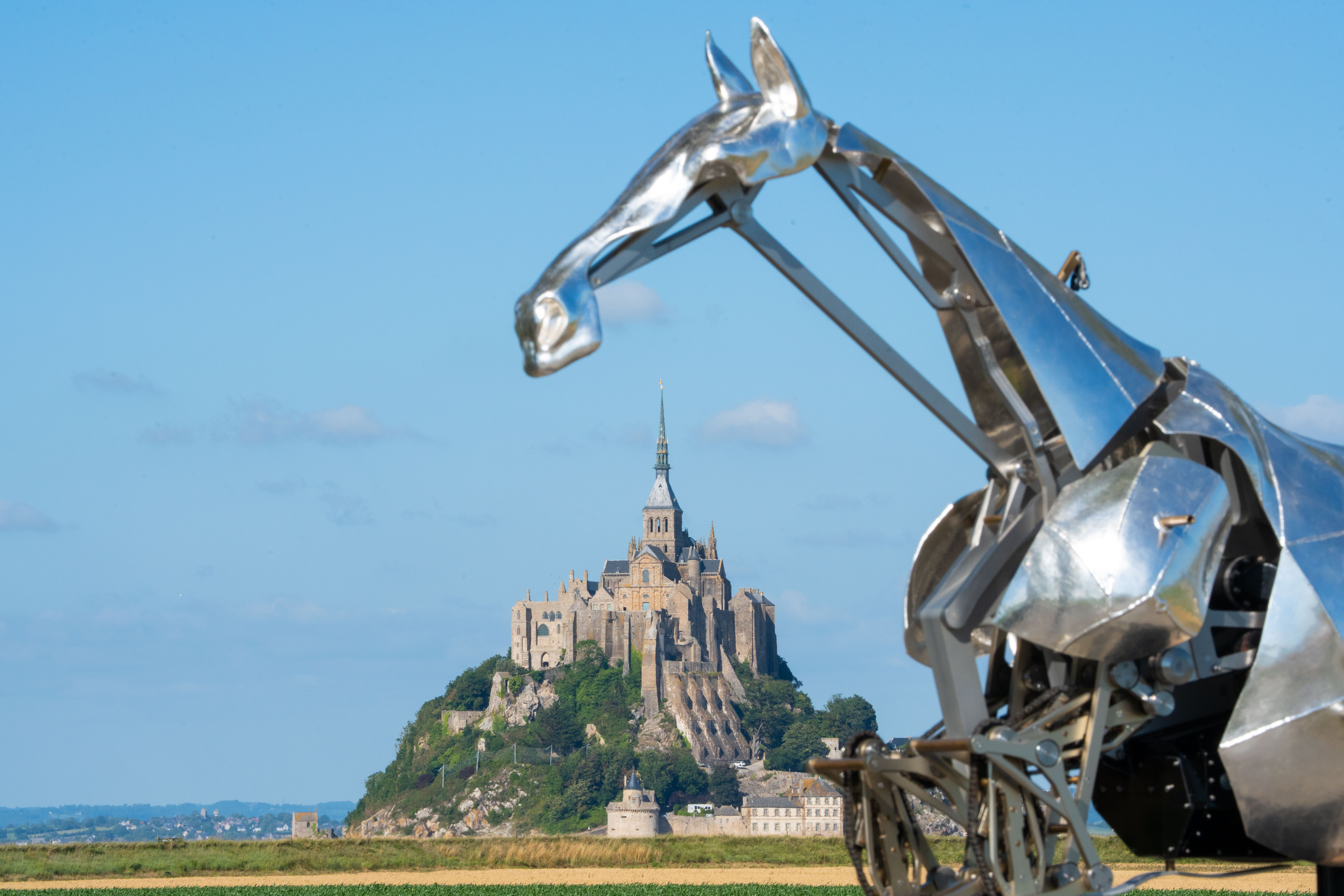 Zeus, the metal horse