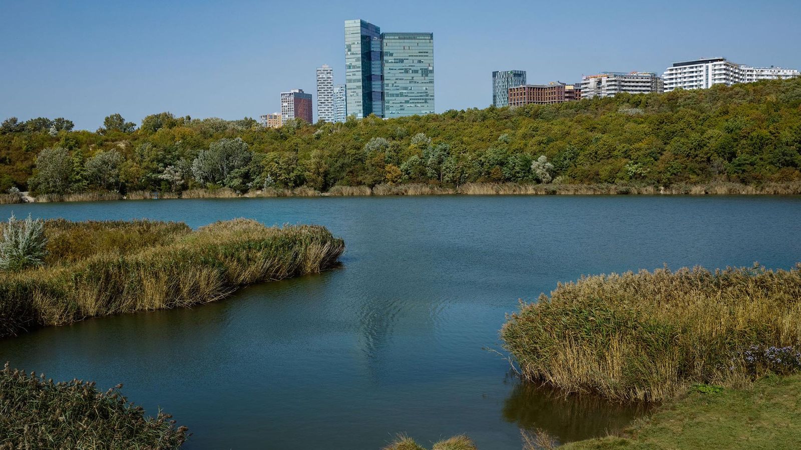 Der Wienerbergsee spiegelt die Natur, umgeben von Grün, mit modernen Hochhäusern im Hintergrund, darunter das Sanofi-Büro.