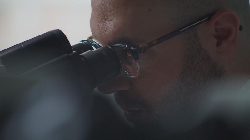 Nizar El Murr, qui a des lunettes et une courte barbe noire, regarde dans un microscope.