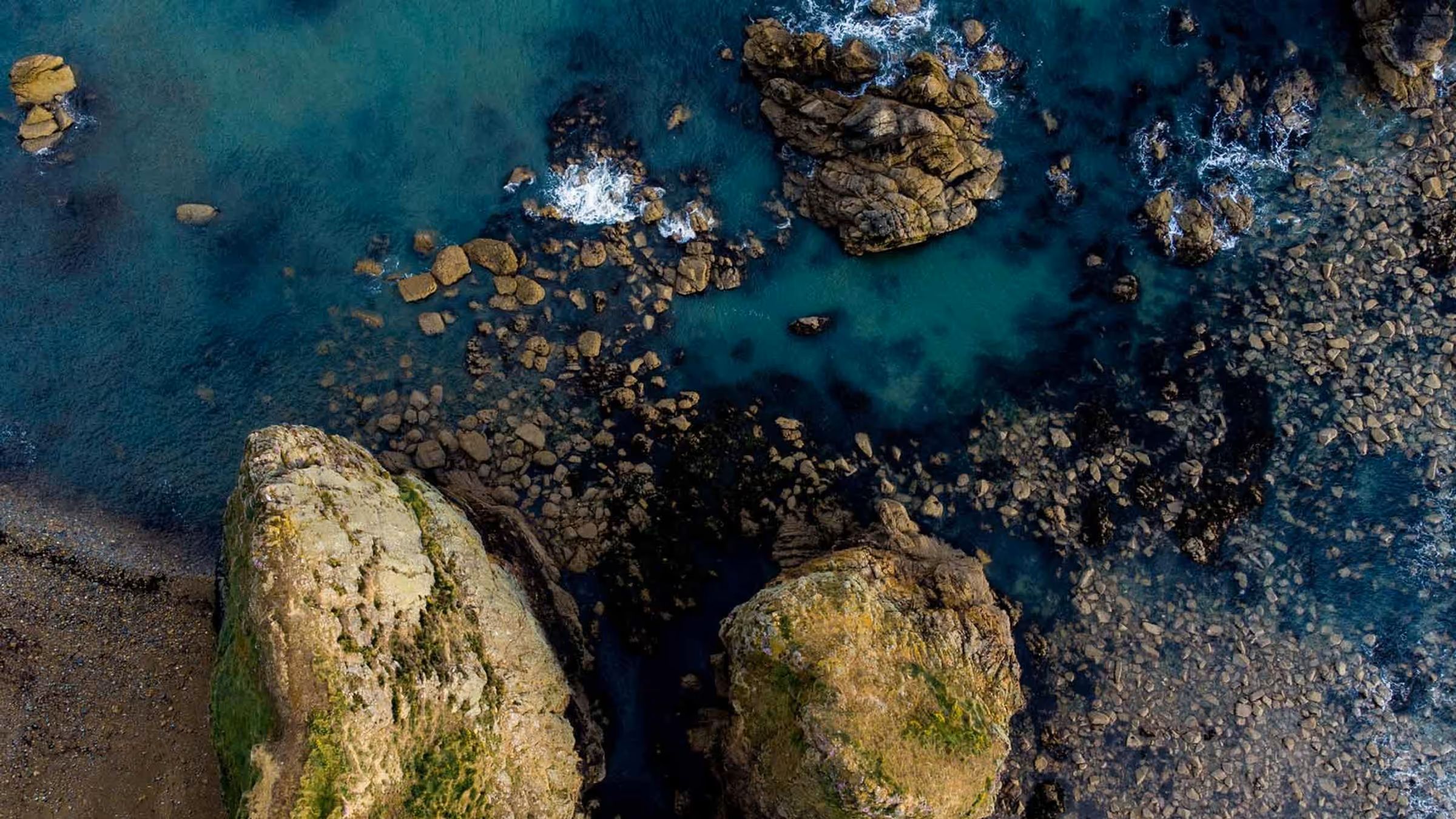 sustainability_header-banner