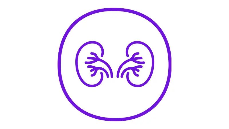 Transforming lives with transplants