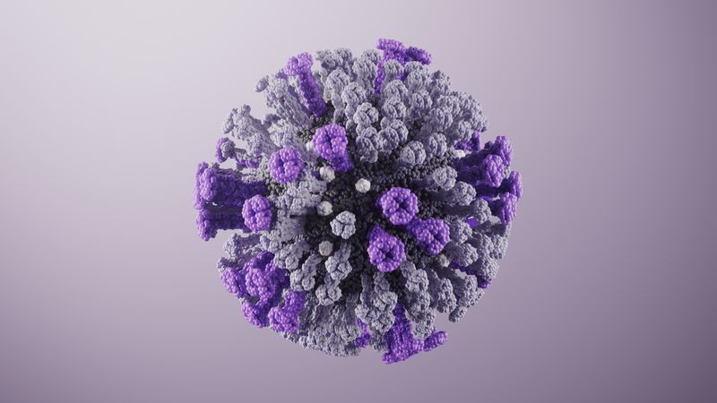 Flu Virus