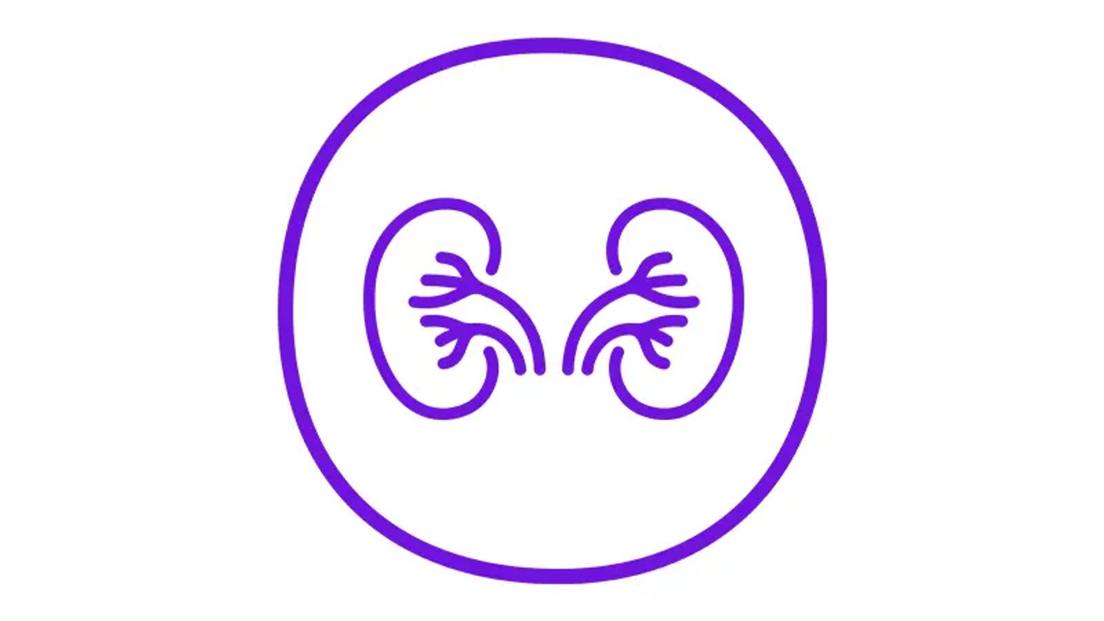 Pictogram of kidneys