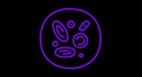 Rare Diseases
