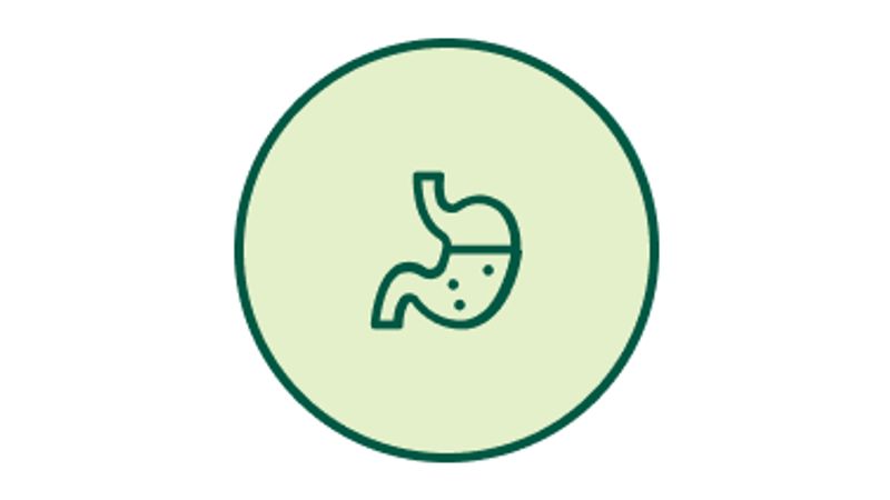 Liver Icon