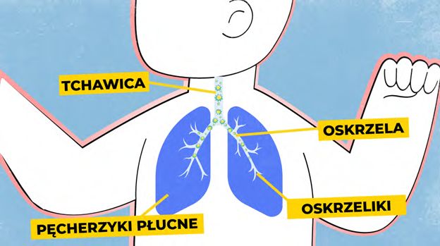 Układ odpornościowy niemowlęcia jest aktywowany