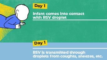 timeline RSV disease progression illustration