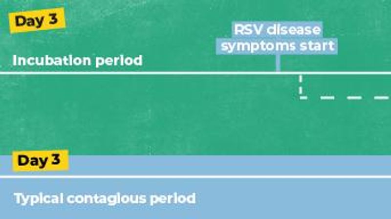timeline RSV disease progression illustration