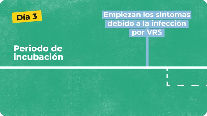 Imagen que muestra el día 3, donde comienza el periodo de incubación y los síntomas al poco tiempo de la infección.