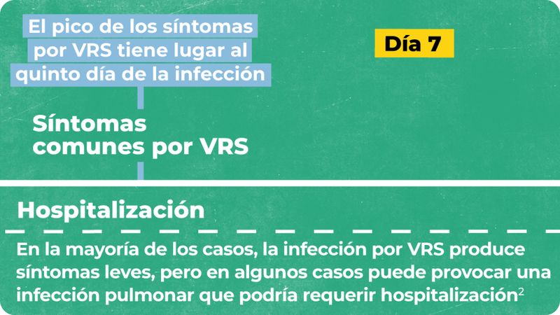 Imagen que muestra el día 7. En el día 5 se da el pico de los síntomas, dependiendo de la progresión de los mismos se produce la hospitalización o no del lactante.