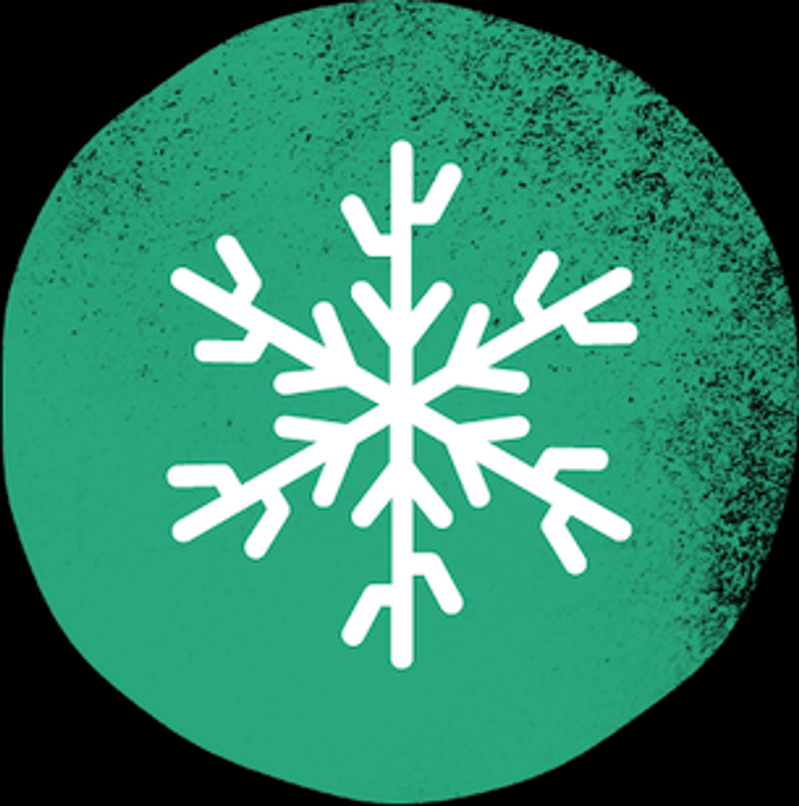 Imagen de un copo de nieve respresentando el invierno y a los factores ambientales que condicionan la infección.