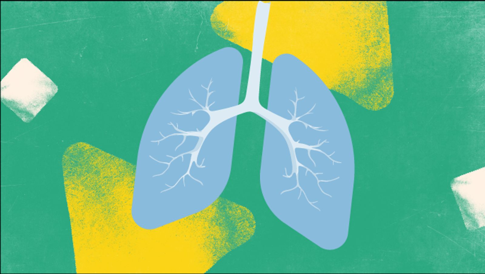 Imagen de unos pulmones.