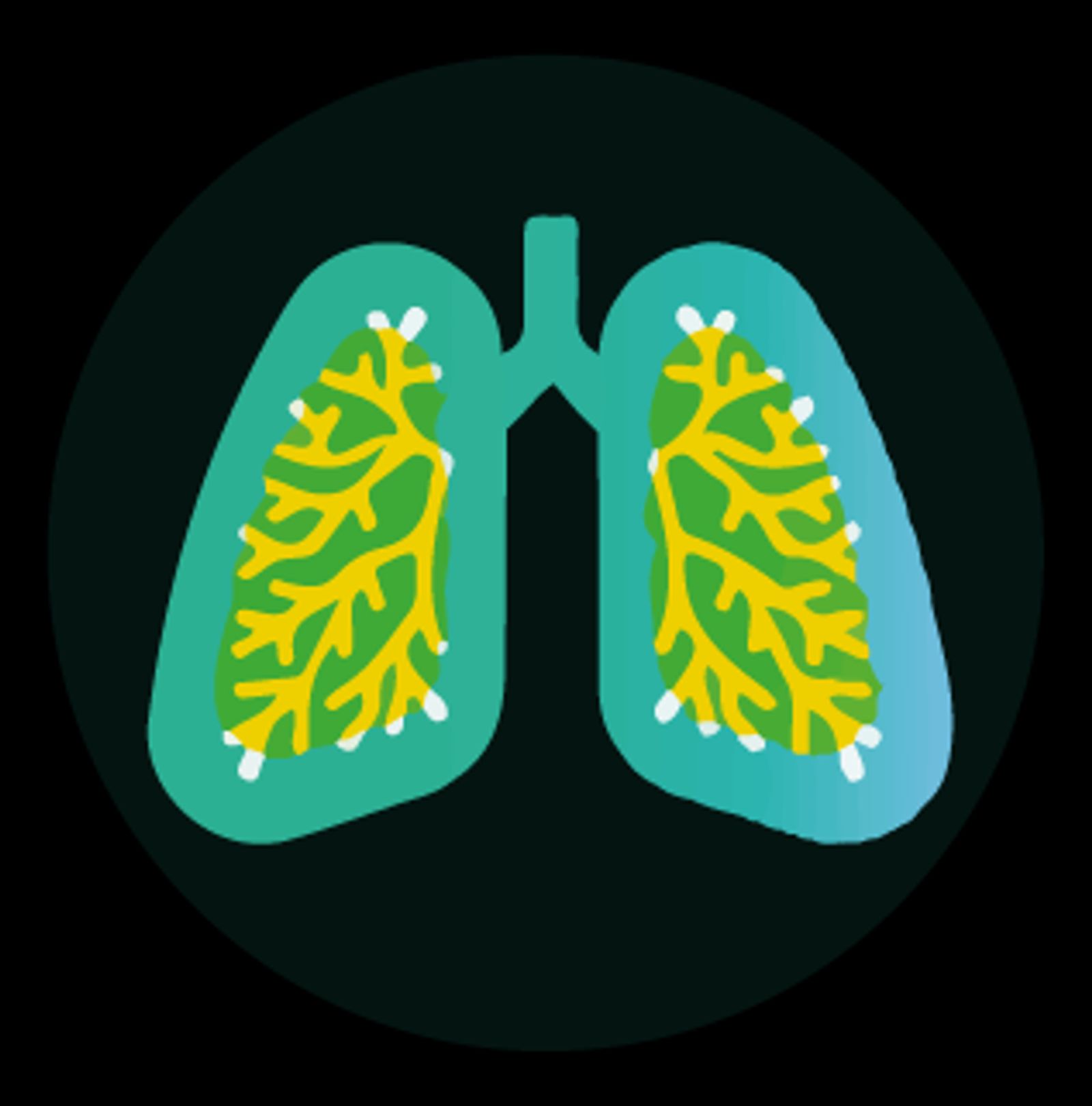 Icono de una persona cargando un bebé