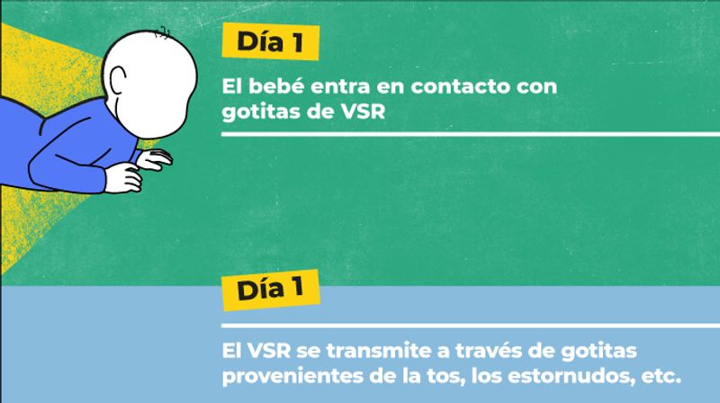 imágenes describiendo la cronologia de la enfermedad. Día 1, el bebé entra en contacto con el virus VSR