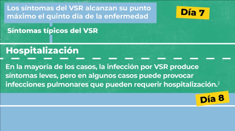 imágenes describiendo la cronologia de la enfermedad. Día 7, los sintomas alcanzan su punto máximo