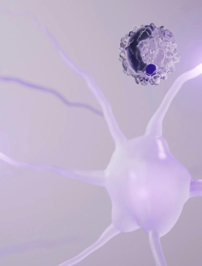 A microscopic illustration showing five purple neuron structures with glowing connections. There are two spheres set around them in different shades of purple. ​
