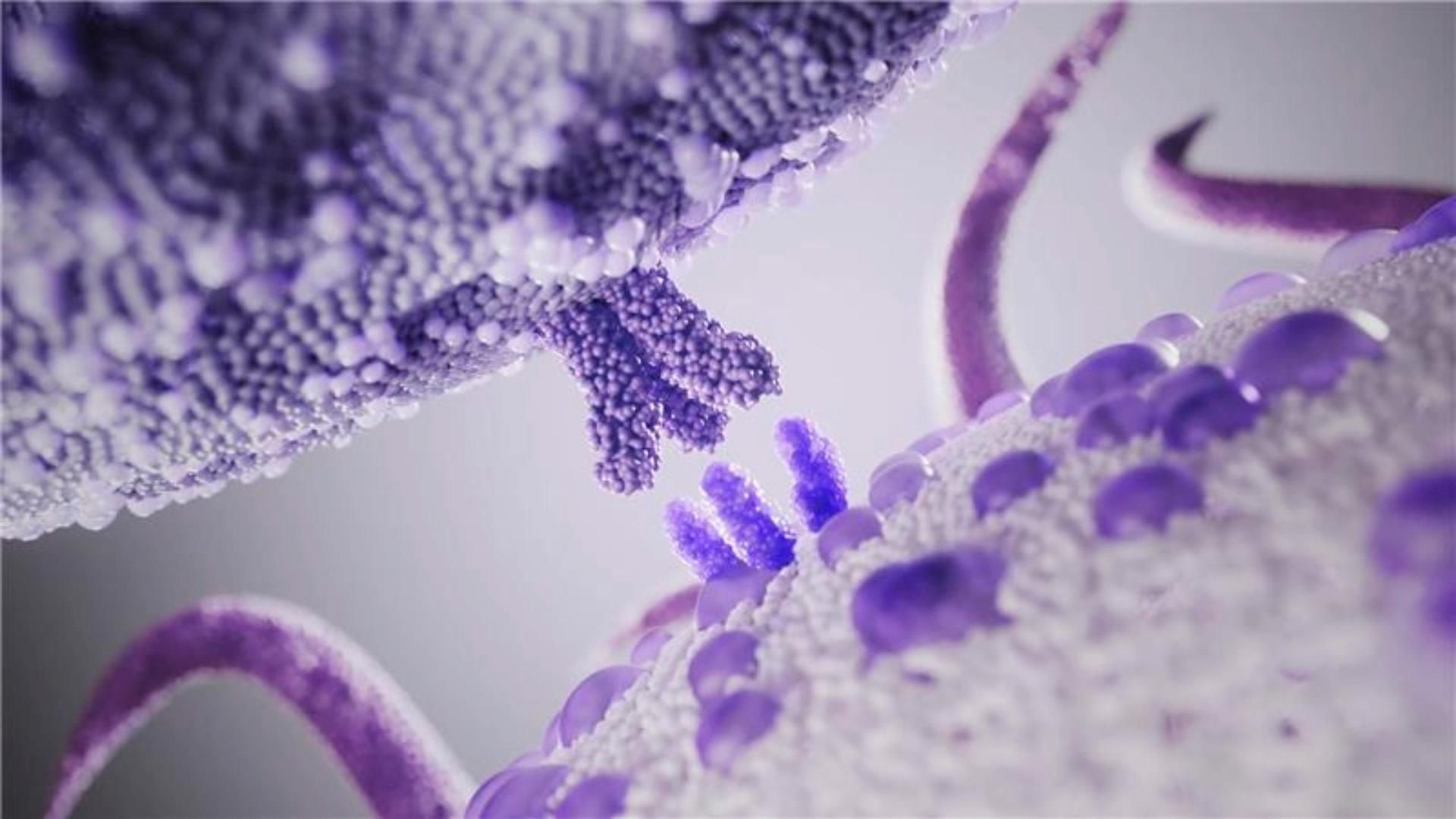 A microscopic illustration depicting purple molecular structures with three finger-like prongs each, interacting between two textured, granular surfaces. The structures vary in shape and shades of purple, made up of small molecules.​