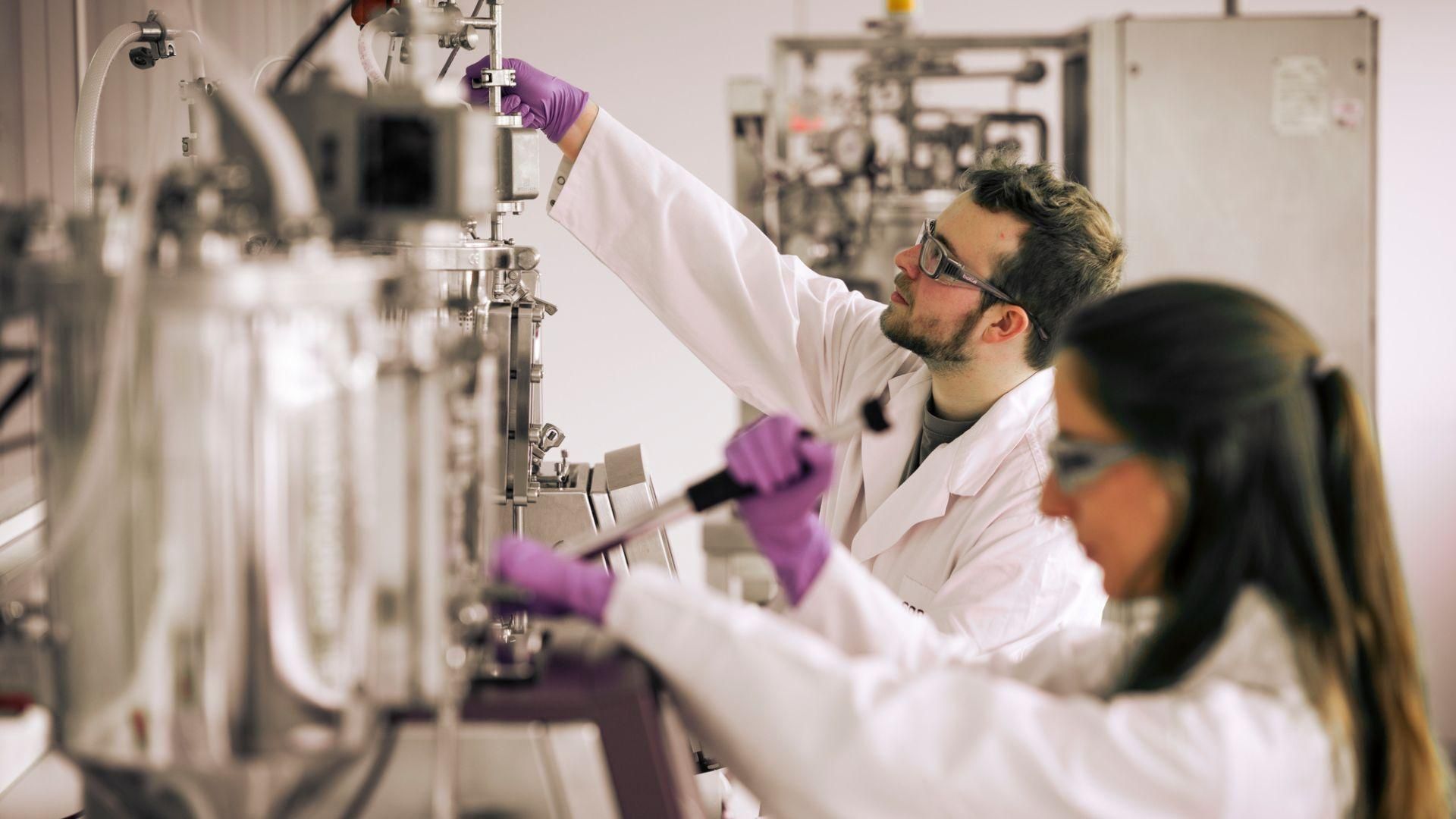 Maria Conde and Matthias De Langhe working with steel lab equipment in a well lit lab room, wearing purple gloves and lab coats