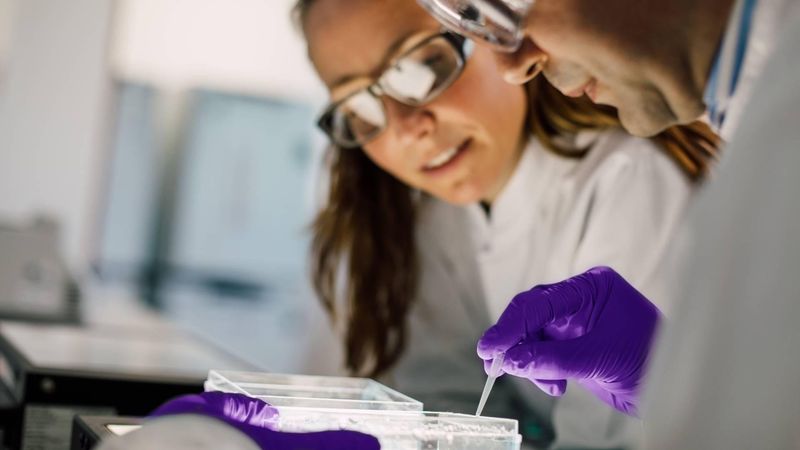 Deux scientifiques portant des lunettes de sécurité et des gants, utilisant une pipette pour transférer un échantillon dans une plaque d'analyse.