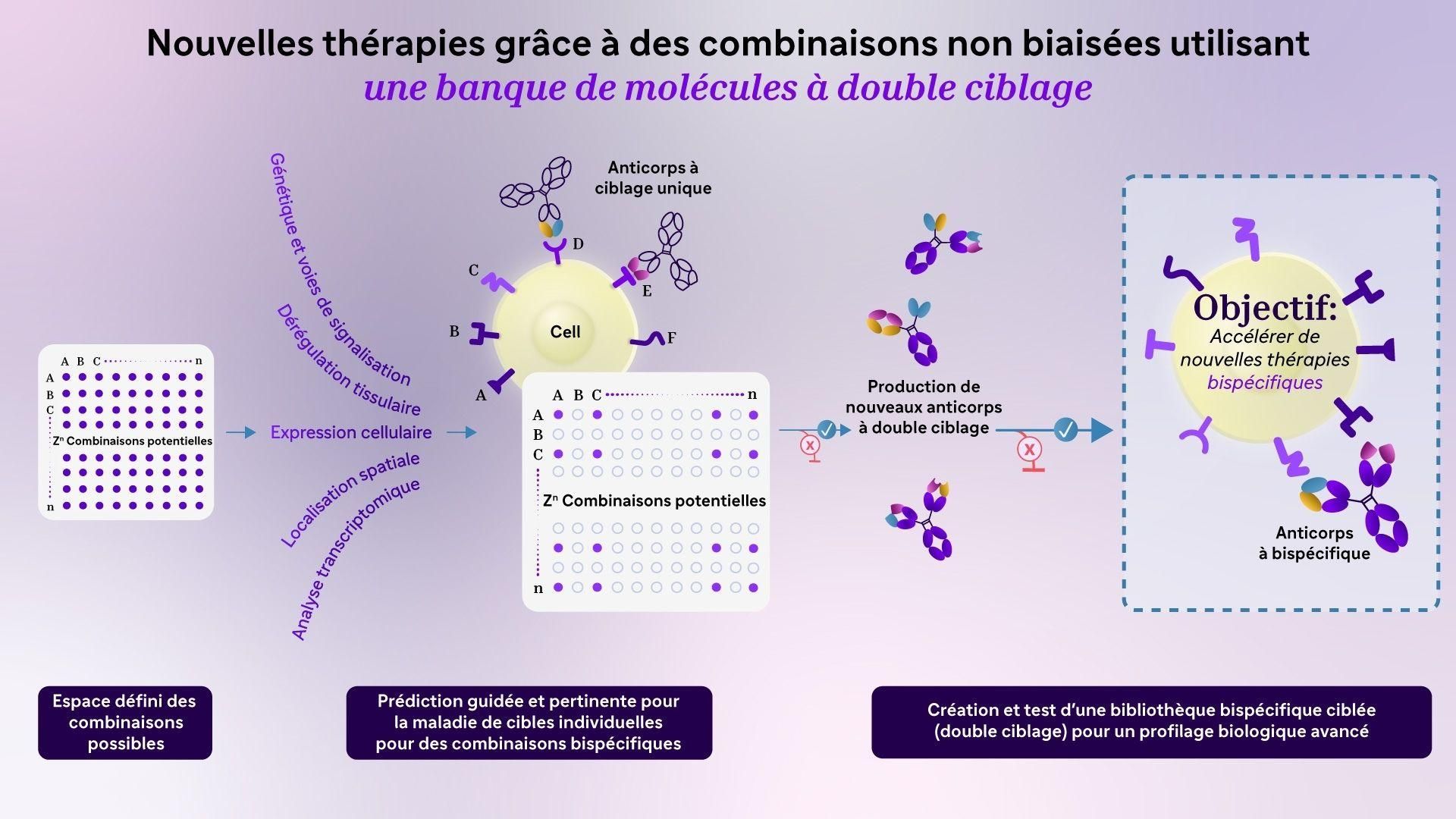 Un rendu conceptuel 3D de haute technologie montrant en gros plan un anticorps bispécifique se liant simultanément à deux récepteurs cellulaires cibles distincts et colorés.