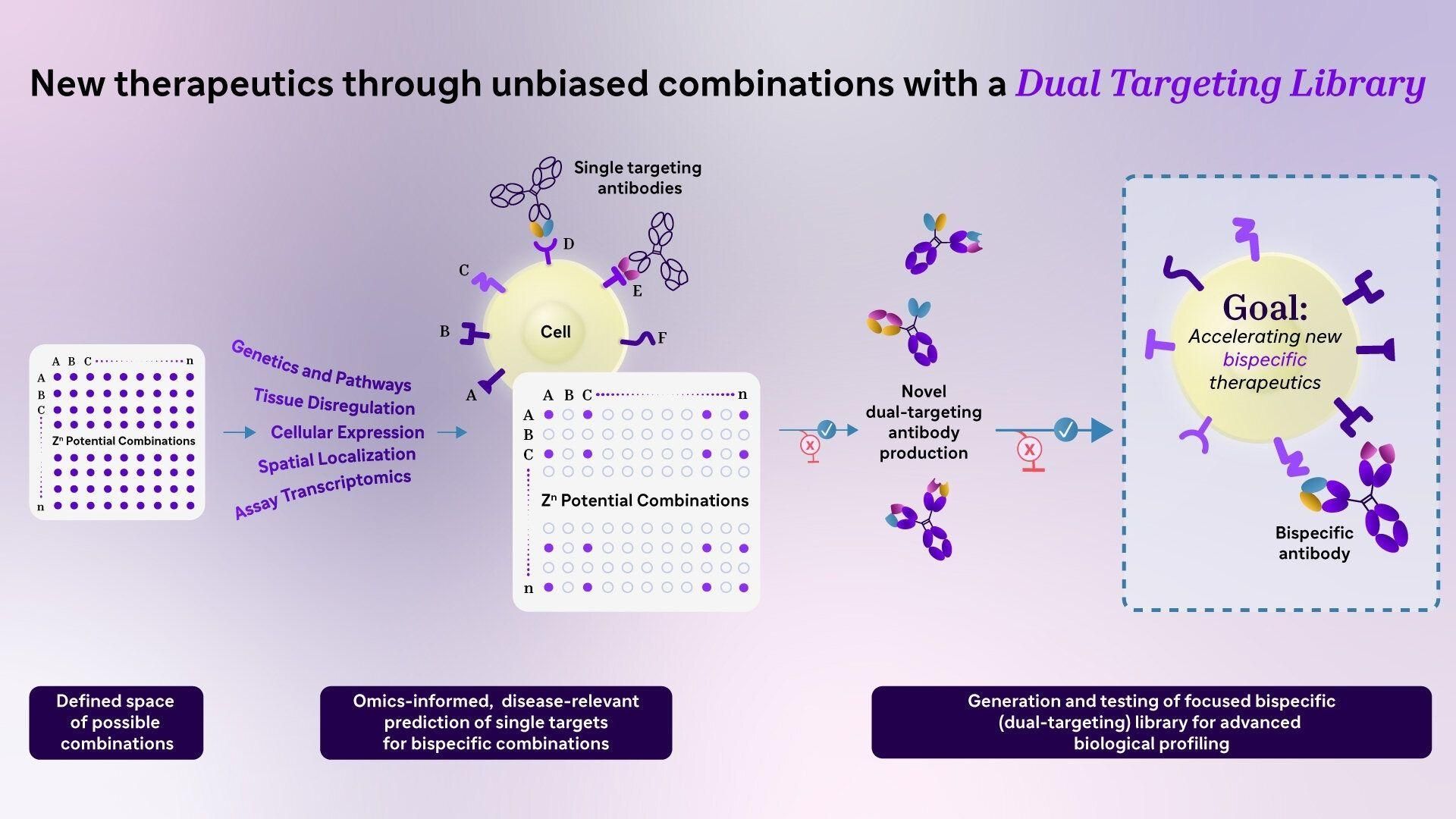 A flow diagram detailing the DTL 2.0 screening workflow: from single-target identification to monospecific assembly, unbiased physical pairing, multi-readout testing, and finalized lead bispecific hits.