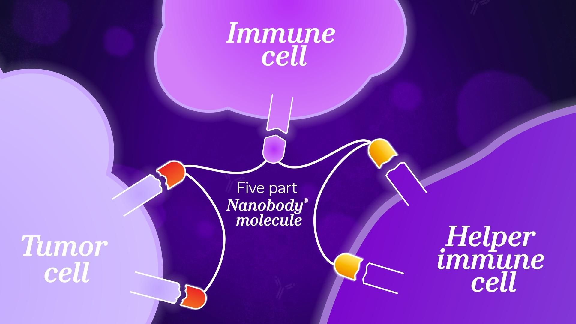 Diagramme montrant plusieurs modules NANOBODY® connectés par des lieurs flexibles, représentant une conception thérapeutique multivalente pour des cibles complexes.