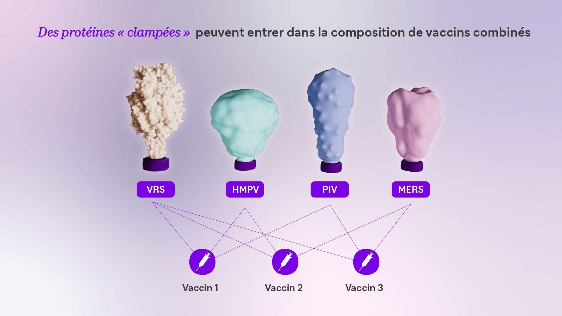 Figure 3. Différentes protéines avec leurs verrous moléculaires. Ces protéines peuvent être utilisées en combinaisons variées pour produire de nouveaux vaccins ciblant plusieurs menaces infectieuses.