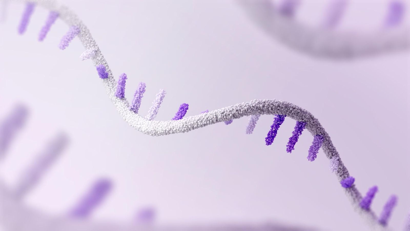 3D illustration of messenger RNA