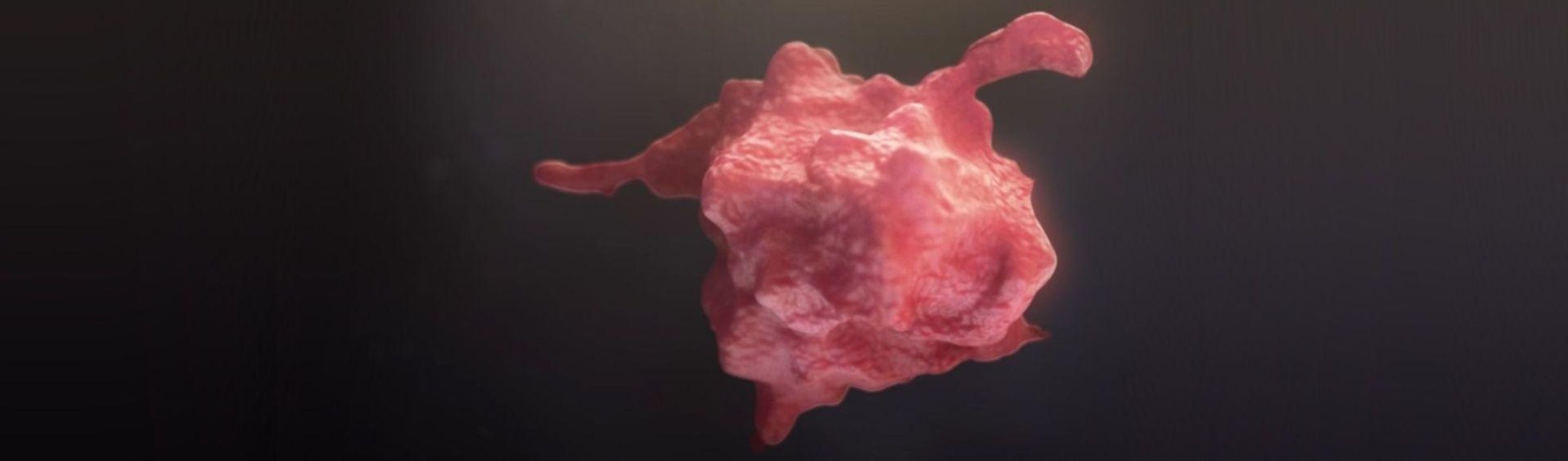 Ci-dessus : Illustration 3D d'une plaquette sanguine [Crédit : Microverse]