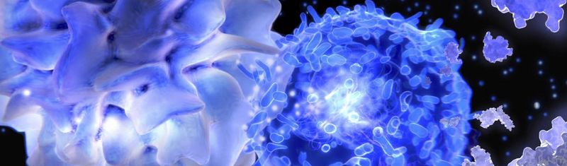 Vue microscopique de cellules en fluorescence bleue montrant des structures cellulaires distinctes avec des zones de fluorescence plus intense, utilisée pour la recherche sur l'asthme