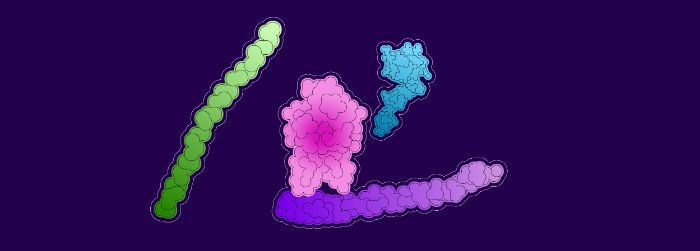 Von Willebrand factor (purple) protects factor VIII (pink) from being broken down by certain proteins (green and blue).