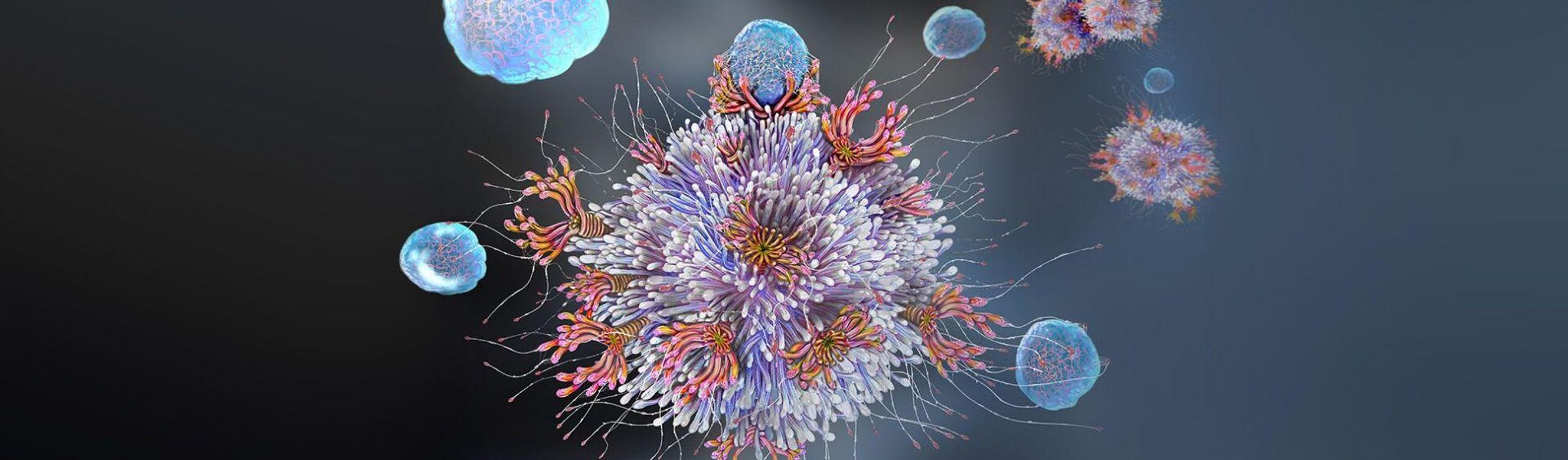 Artist's interpretation of a T cell (white blood cell) binding to an antigen. [Illustration: Getty Images]
