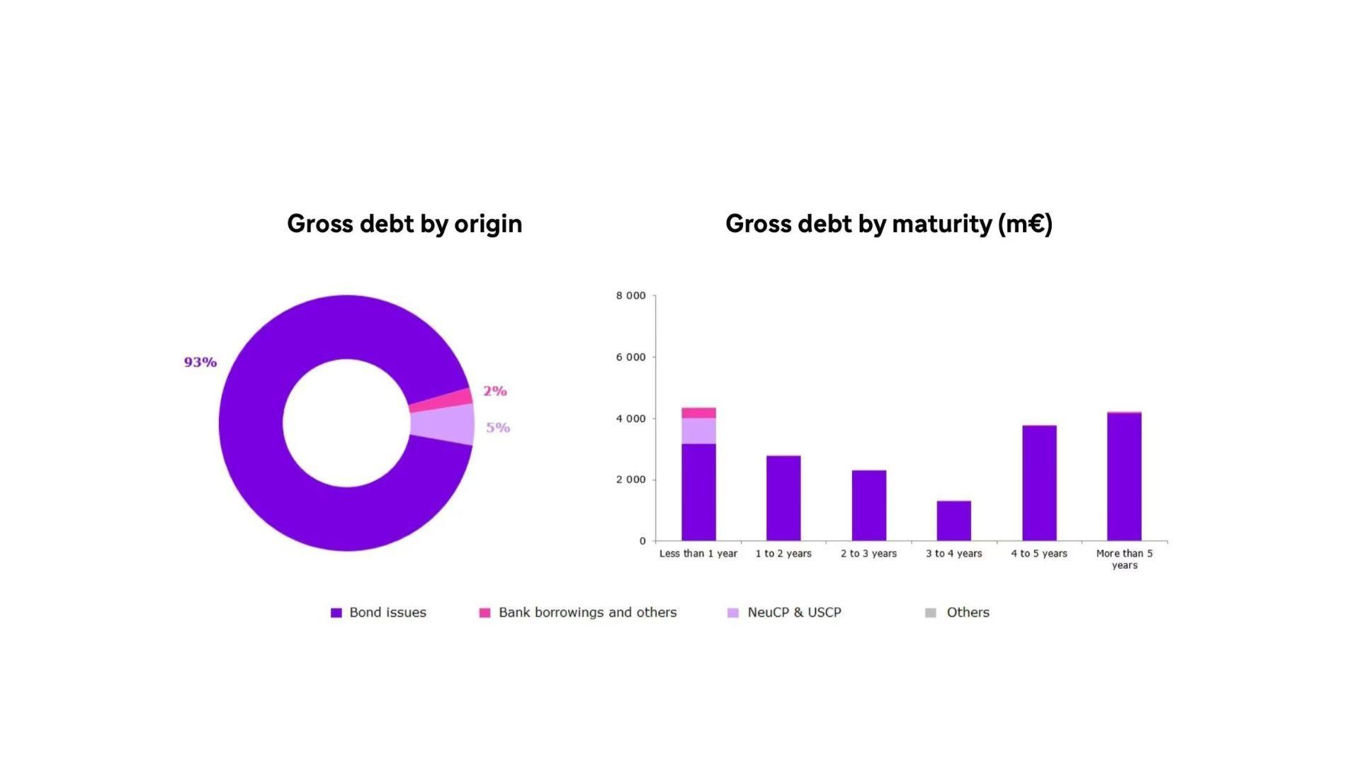 Gross debt by origin and by maturity