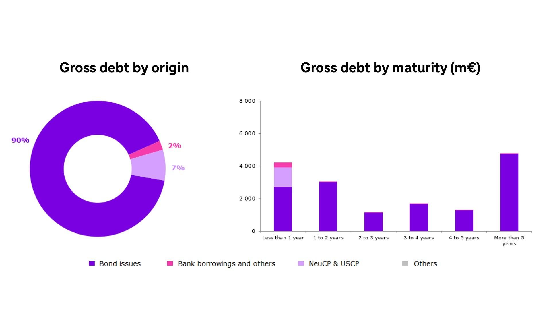 Gross debt by origin and by maturity