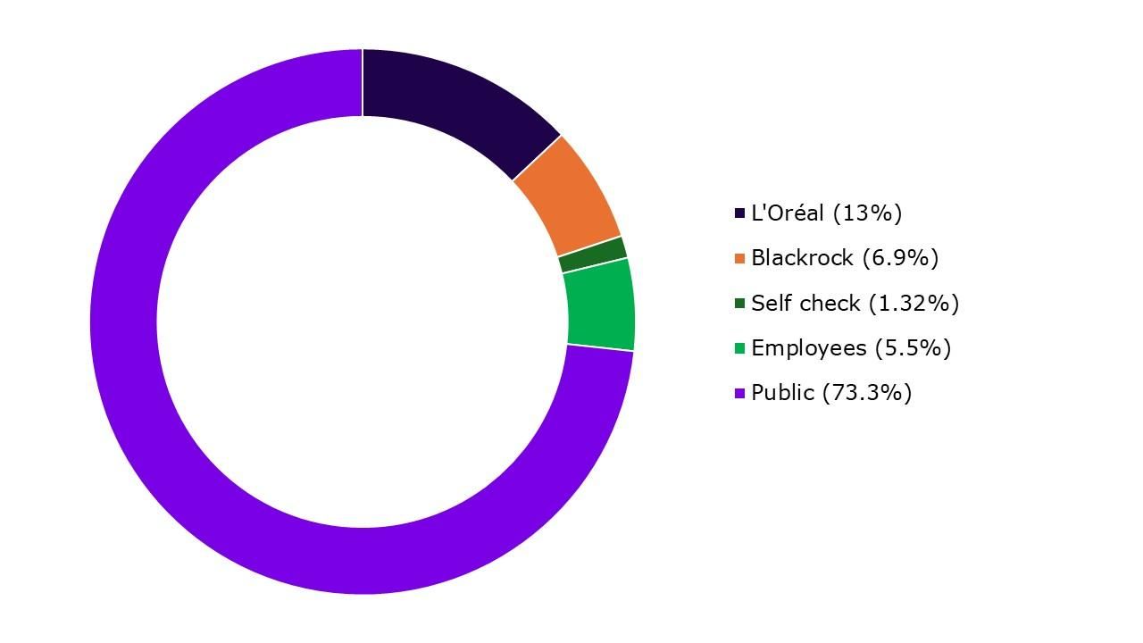 Pie chart showing the distribution of voting rights.