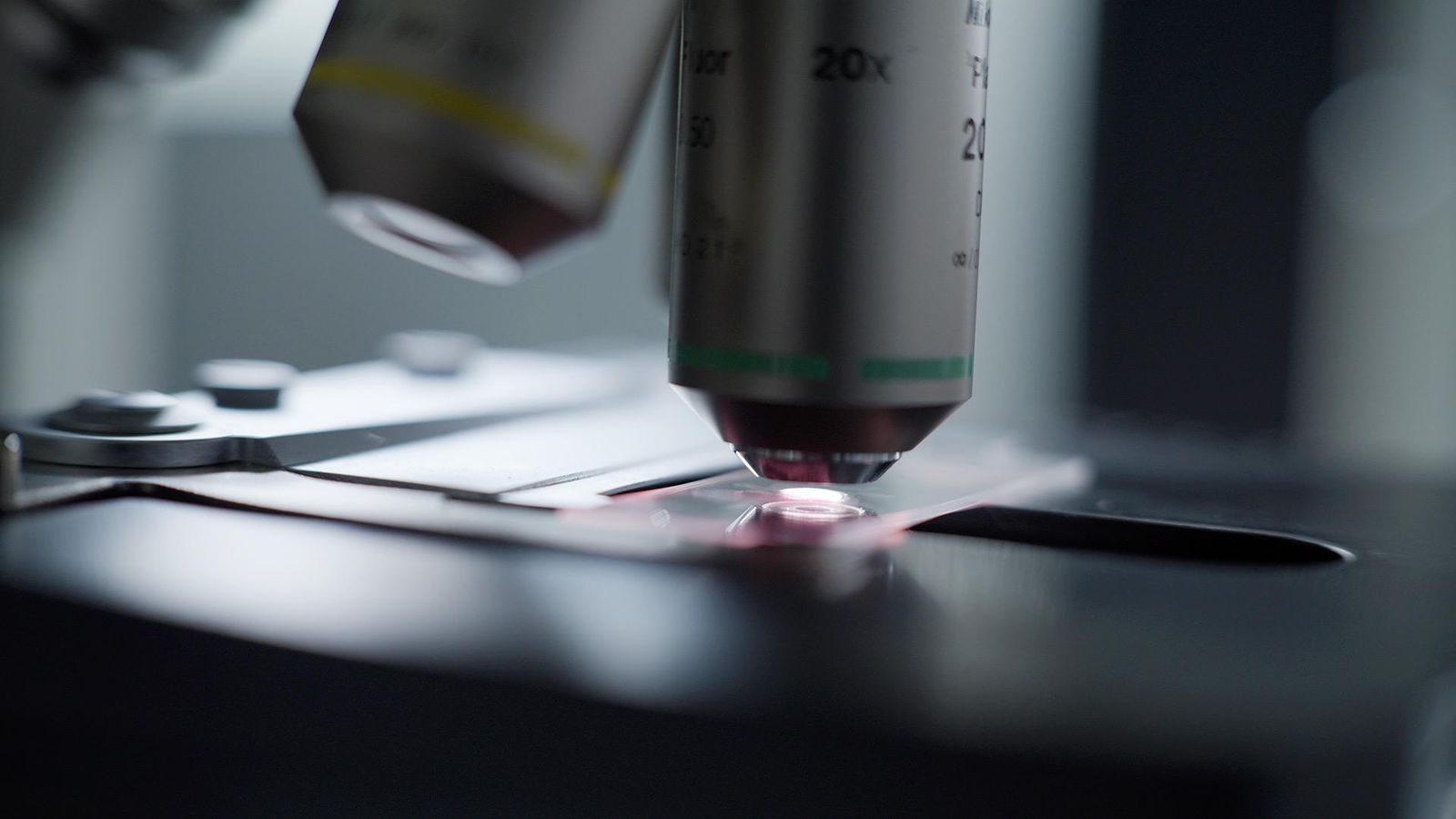 Zoom sur un microscope