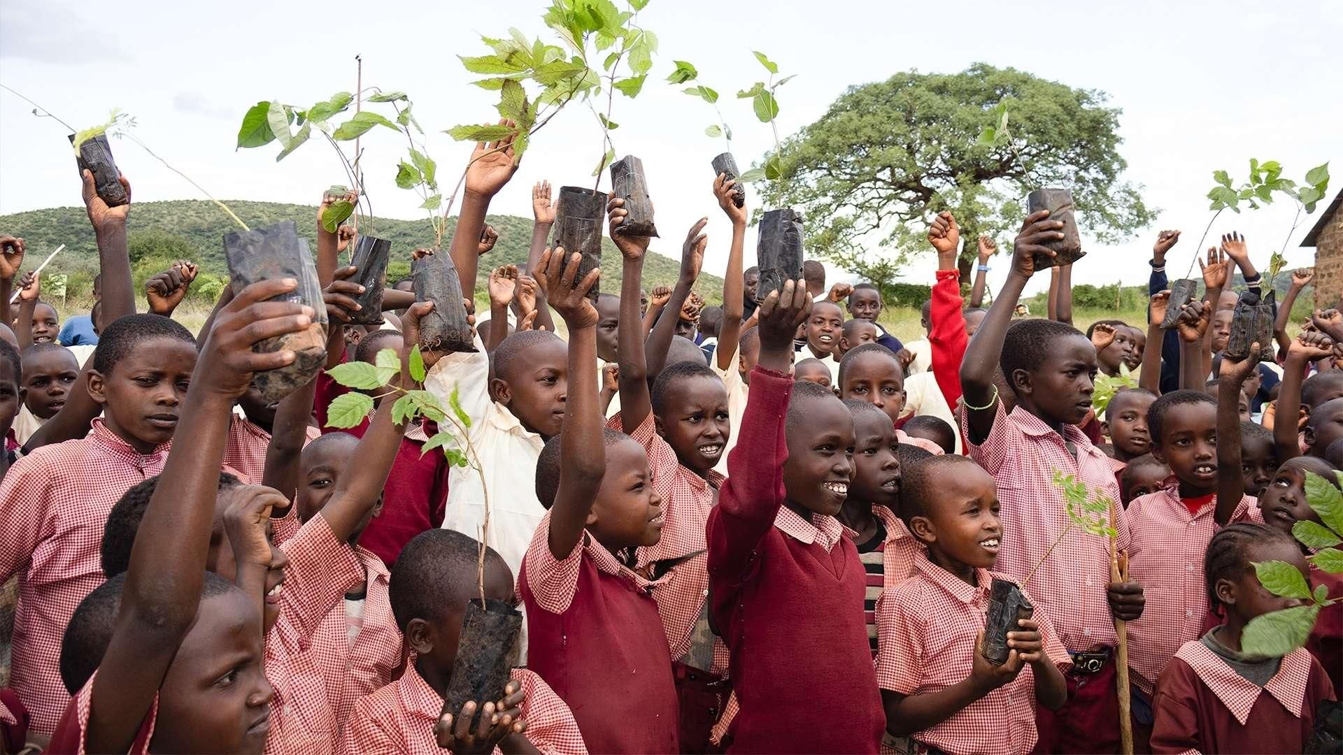 A group of children hold up young plants during an outdoor tree-planting activity. 