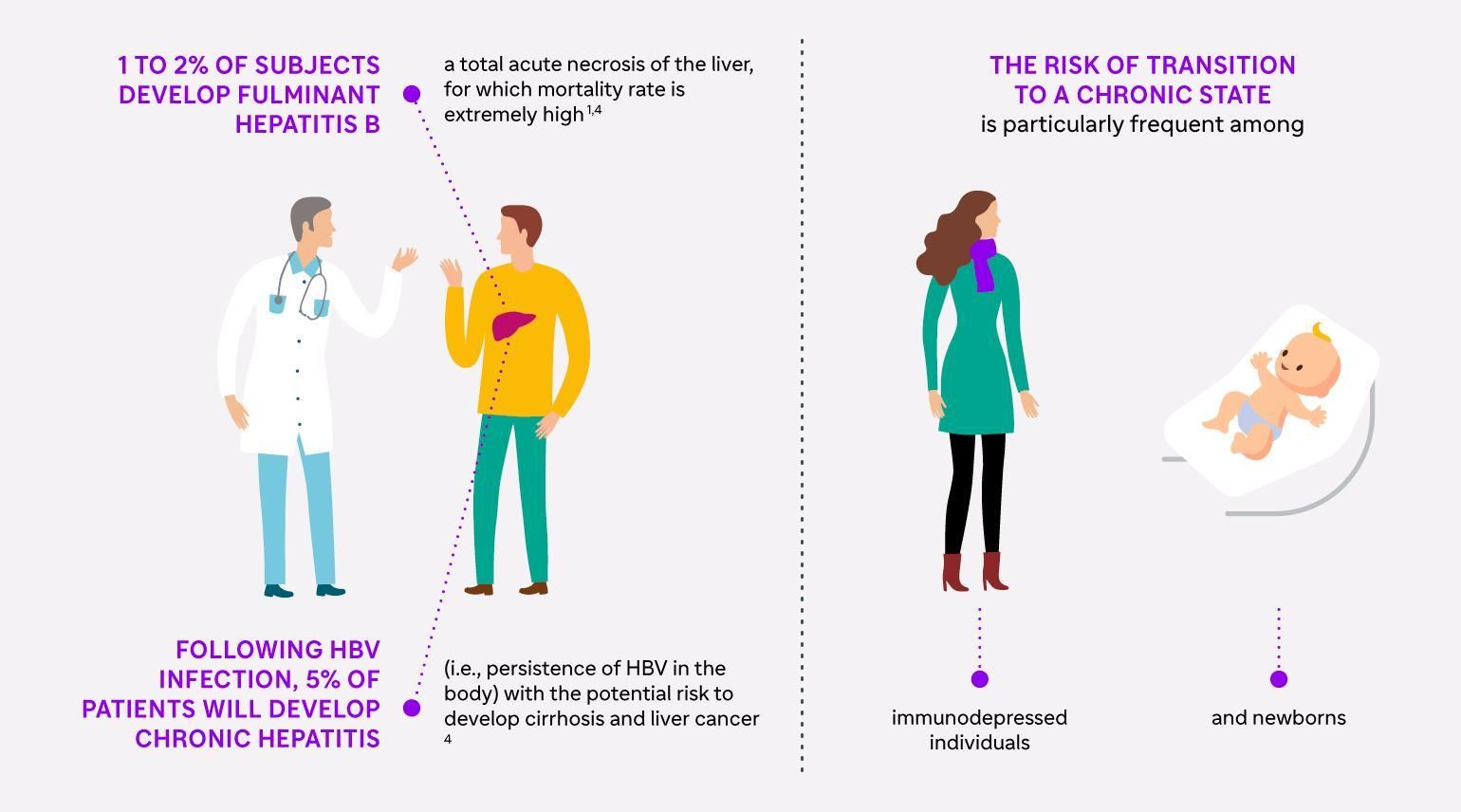 hepatitis B infographics - english