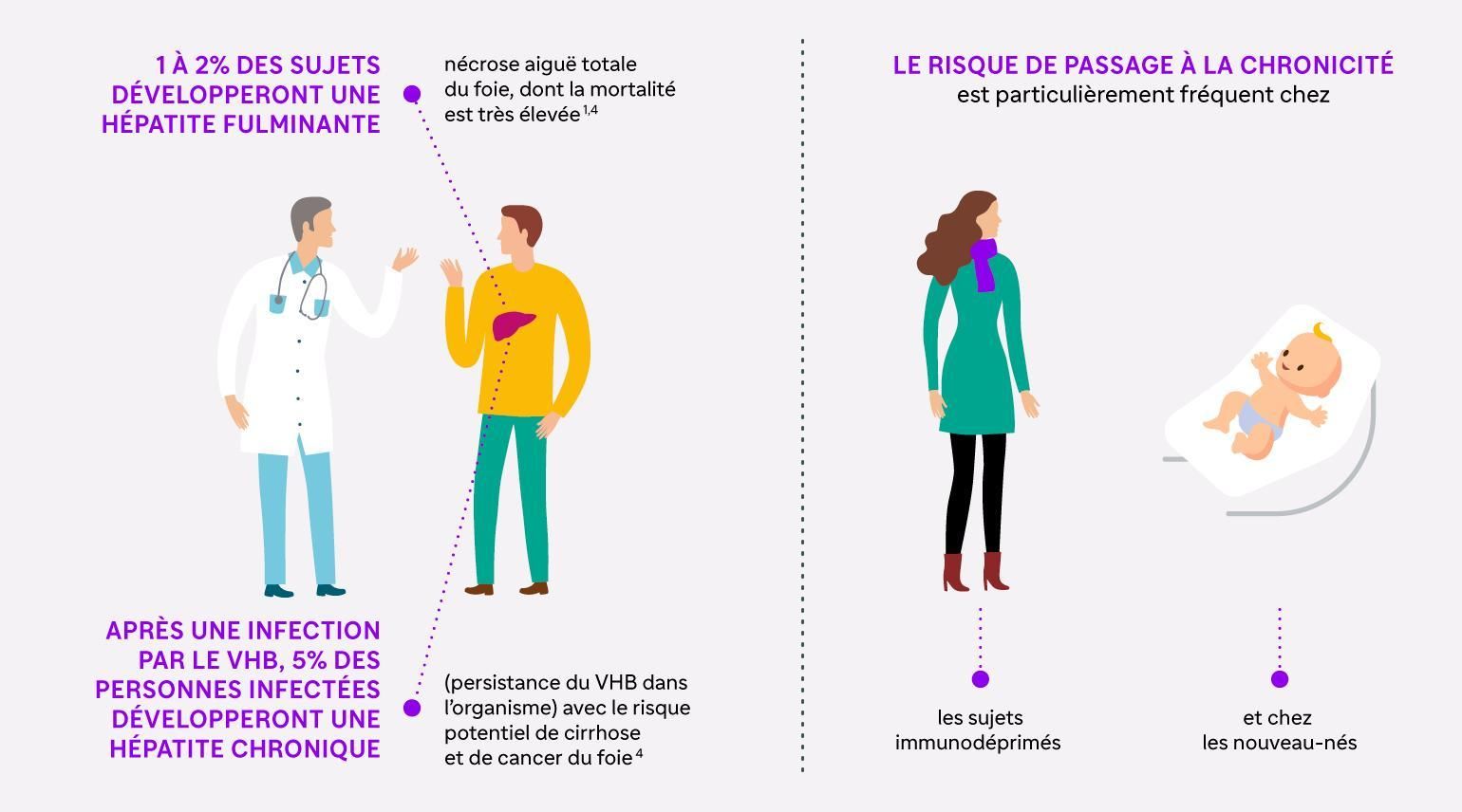 hepatitis B infographics - french