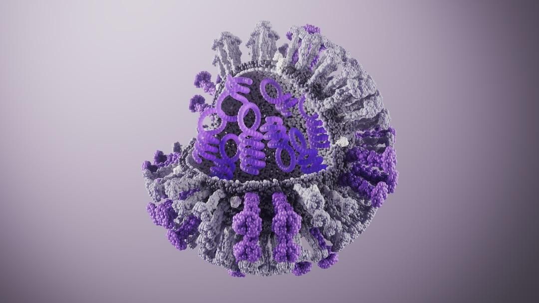 Virus de la influenza en representación 3D