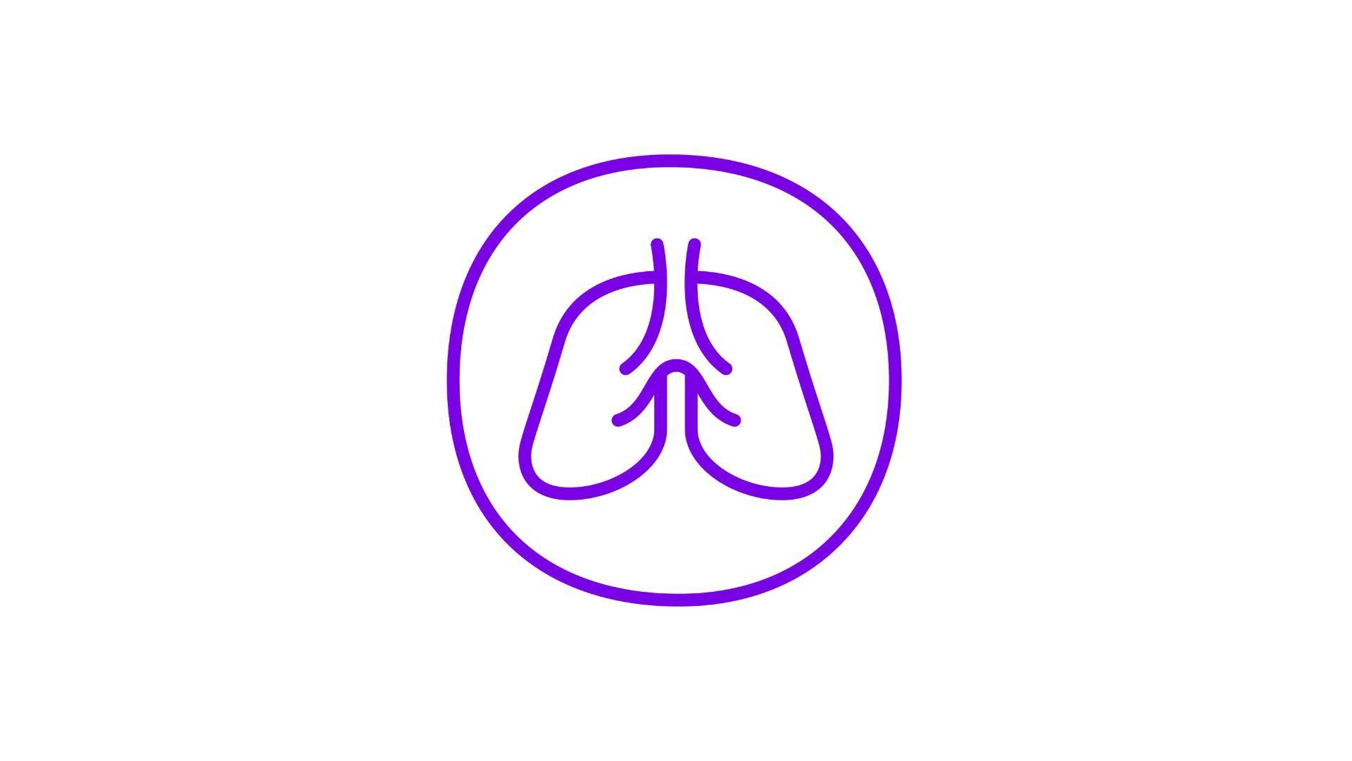 A minimalist graphic of human lungs within a purple circle. Two symmetrical, elongated shapes represent the lungs, outlined and filled with light purple. A vertical line at the top depicts the trachea. The entire design uses shades of purple against a white background