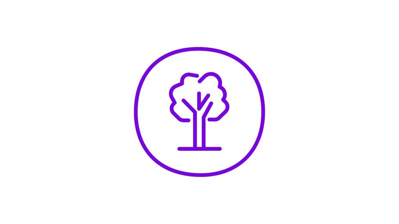 A purple icon of a tree with a thin trunk and horizontal lines representing branches, surrounded by a purple circle